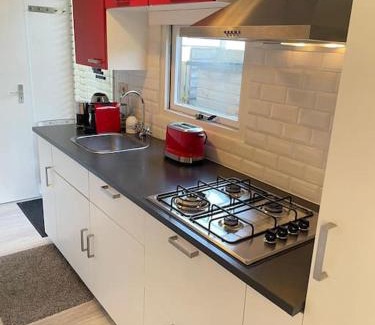 Krachtighuizen Ski Chalet | Tiny house met tuin en 2 fietsen in Putten op de Veluwe