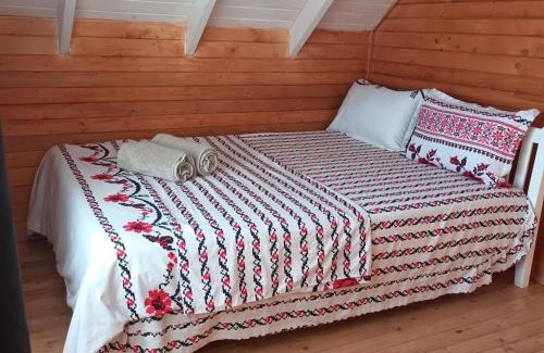 Gura Suhasului House | Tiny House Ocnele Mari