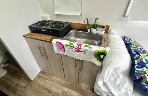 Alban House | Tiny House On Wheels - Guayabal de Siquima
