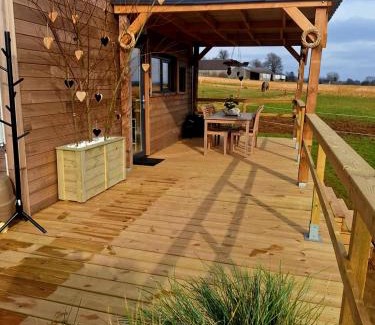 Tinlot Cabin | Tiny housse serenity avec jacuzzi