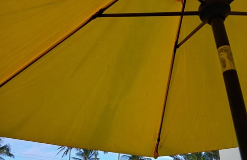 Paget Apartment | Tiny Studio in fabulous Smith's Parish at John Smith's Bay Beach