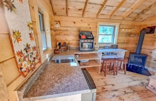 Hovland Cabin | Tiny Tuloon Off-Grid Amish crafted log cabin near the BWCA & SHT - Sled Dogs!
