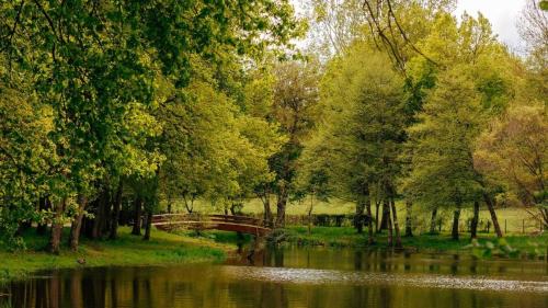 Premilhat House | Tiny village de Sault
