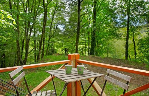 Schoellnach House | Tinyhaus 1