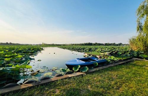 Ciofliceni Other | Tinyhouse Snagov Lake