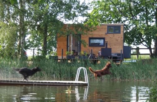 Buhlau House | TinyHousebeiDresden klein aber fein, beste Lage Naturteich große Terrasse - Nähe Sächsische Schweiz - Von Juni - September Mindestmietzeit 1 Woche Sa-Sa