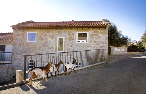 Arcos de Valdevez Villa | Tio Zé - Casas de Selim