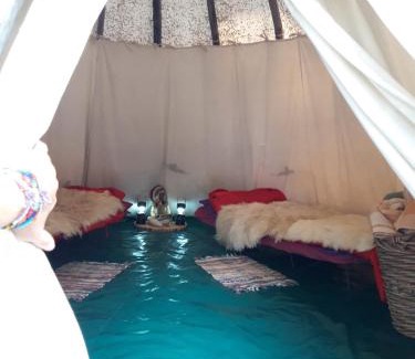 Caille Other | Tipi NCO