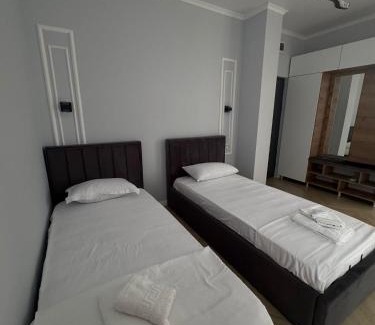 Tismana Apartment | TisArt Hotel