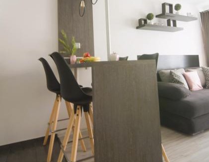 Szeged Apartment | Tisza River Apartman