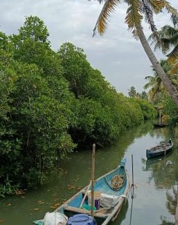 Kayamkulam Apartment | TKM Homestay