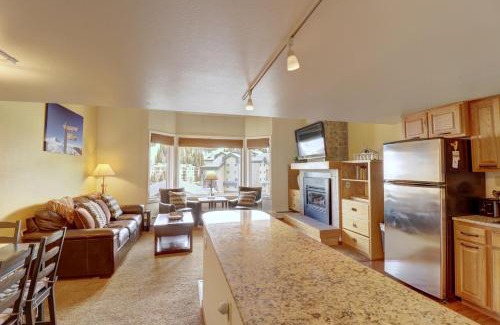 Copper Mountain Village Apartment | TL503 Telemark Lodge 1BR 2BA condo