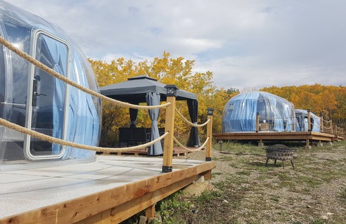 Calgary RV Rental | tnGlamping Dome 4 in ghost lake