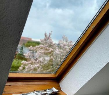 Jever Apartment | *To hus* Wohnung am Rande von Jever