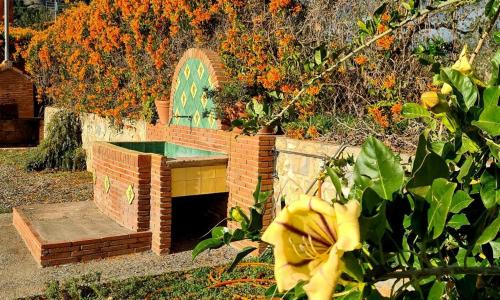 Velez de Benaudalla House | TODIMER FINCA ALPUJAREÑA