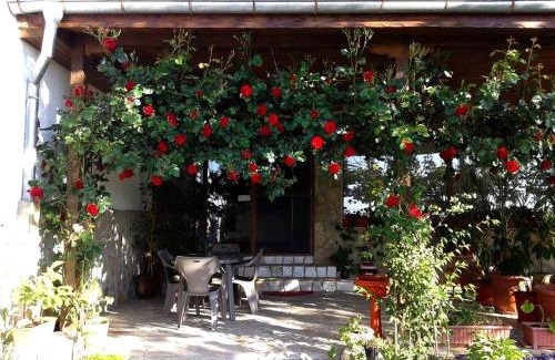 Stara Zagora House | Todorovi Guest House
