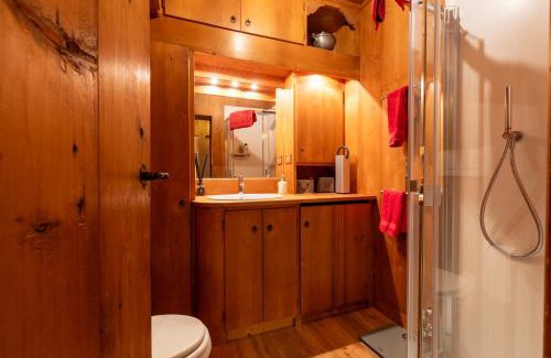 Cortina d'Ampezzo Apartment | Tofane View Apartment with Terrace R&R