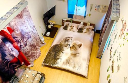 Honmachi Apartment | Tokyo Shibuya Shinjyuku Cat House !