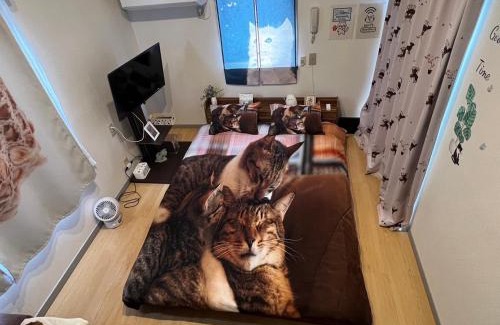 Honmachi Apartment | Tokyo Shibuya Shinjyuku Cat House !