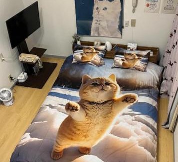 Honmachi Apartment | Tokyo Shibuya Shinjyuku Cat House !