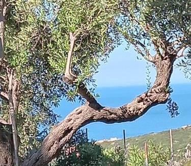 Himare Apartment | Tolis Rooms