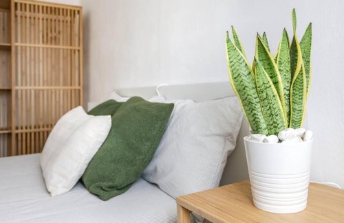 Carpenedo Apartment | Tommy's Flat