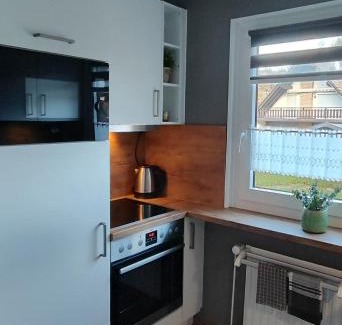 Heringhausen Apartment | Top Ferienwohnung am Diemelsee, Sauerland Nähe Willingen Winterberg