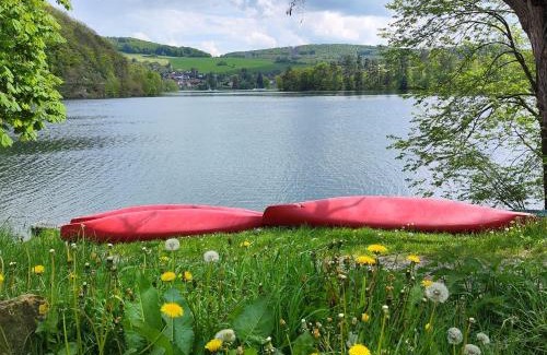 Heringhausen Apartment | Top Ferienwohnung am Diemelsee, Sauerland Nähe Willingen Winterberg