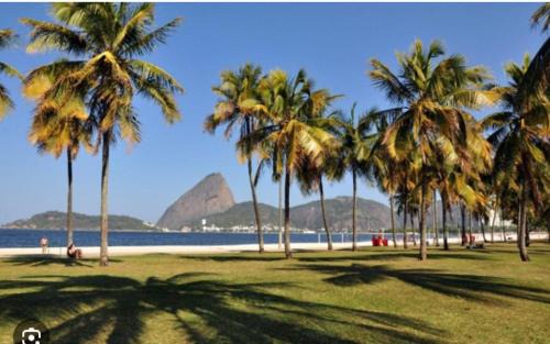 Laranjeiras Apartment | Top location at Flamengo-Rio de Janeiro
