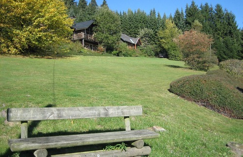 Ortsmitte House | Top location Willingen with sauna directly at ski slope/forest edge.