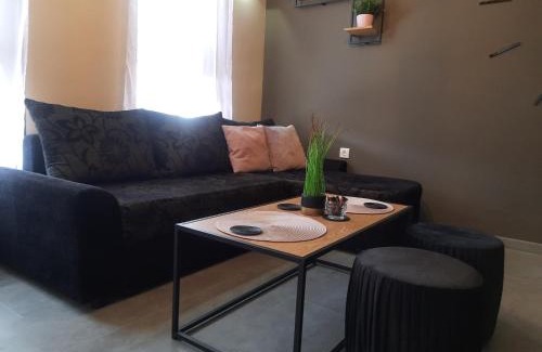 Primorski Apartment | Top Studio Vinica