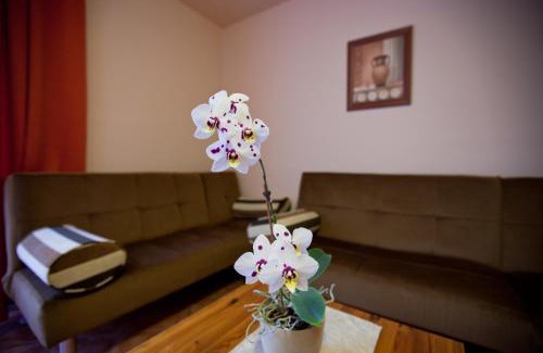 Hegyko Hotel | Tornácos Hotel - Hegykő