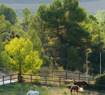 Monroyo Hotel | Torre del Marqués Hotel Spa & Winery - Small Luxury Hotels