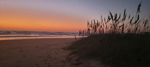 South Padre Island House | Tortuga Bay