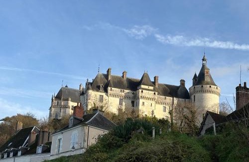 Chaumont-sur-Loire House | Toue de Loire