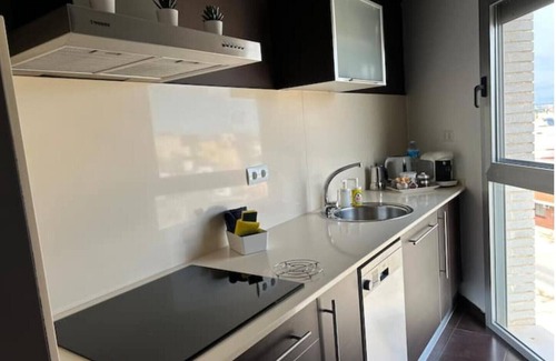 Amposta Apartment | Tourist and vacation apartment. Lo balconet del Delta.