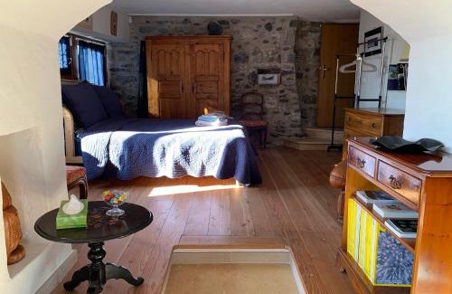 Chardonne Apartment | Tournicolette - 52 m2 charme fou