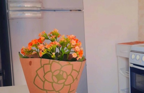 Rio Vermelho Norte House | Townhousefloripa I