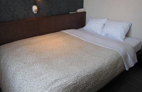 Toyohashi Hotel | Toyohashi Station Hotel
