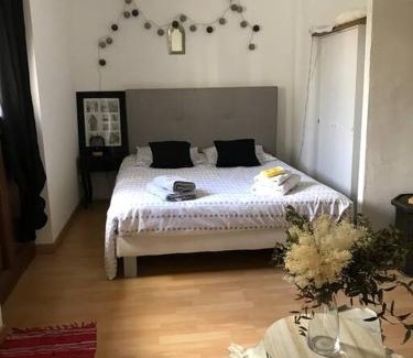 Boisset-et-Gaujac Apartment | Très beau T2 dans mas .