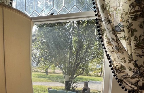 Atchison Township Other | Tractors & Chickens, A Cheerful Retreat 30 minutes from KC
