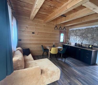 Cicmany House | tradičná Čičmanská drevenica