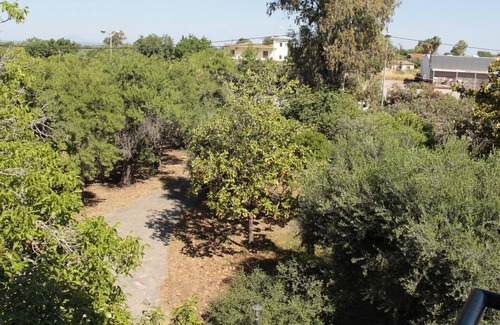 Amaliada Villa | Traditional Greek Villa with in 15.000 sq. meters of trees and grass