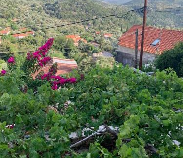 Vournikas Apartment | Traditional House with breathtaking view, Makis