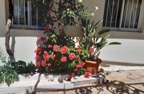 Vournikas Apartment | Traditional House with breathtaking view, Makis