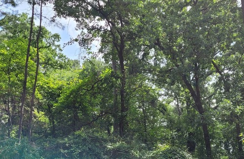 Holly Lake Ranch Cabin | @TrailsEdgeTX Trendy Cabin on 2 Acre Wooded Lot