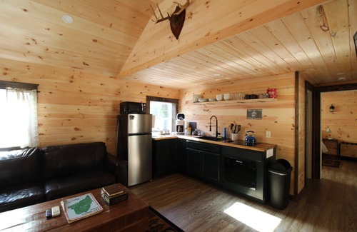 Norway Cabin | Trailside cabin w/sauna, minutes to town & lake, skiing nearby. Pet Friendly!