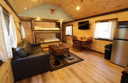 Norway Cabin | Trailside cabin w/sauna, minutes to town & lake, skiing nearby. Pet Friendly!