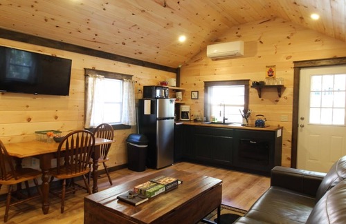 Norway Cabin | Trailside cabin w/sauna, minutes to town & lake, skiing nearby. Pet Friendly!