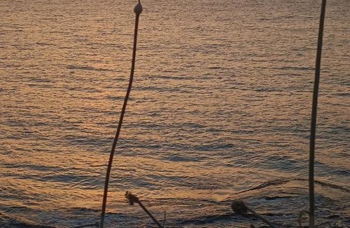 Castelsardo House | Tramontana